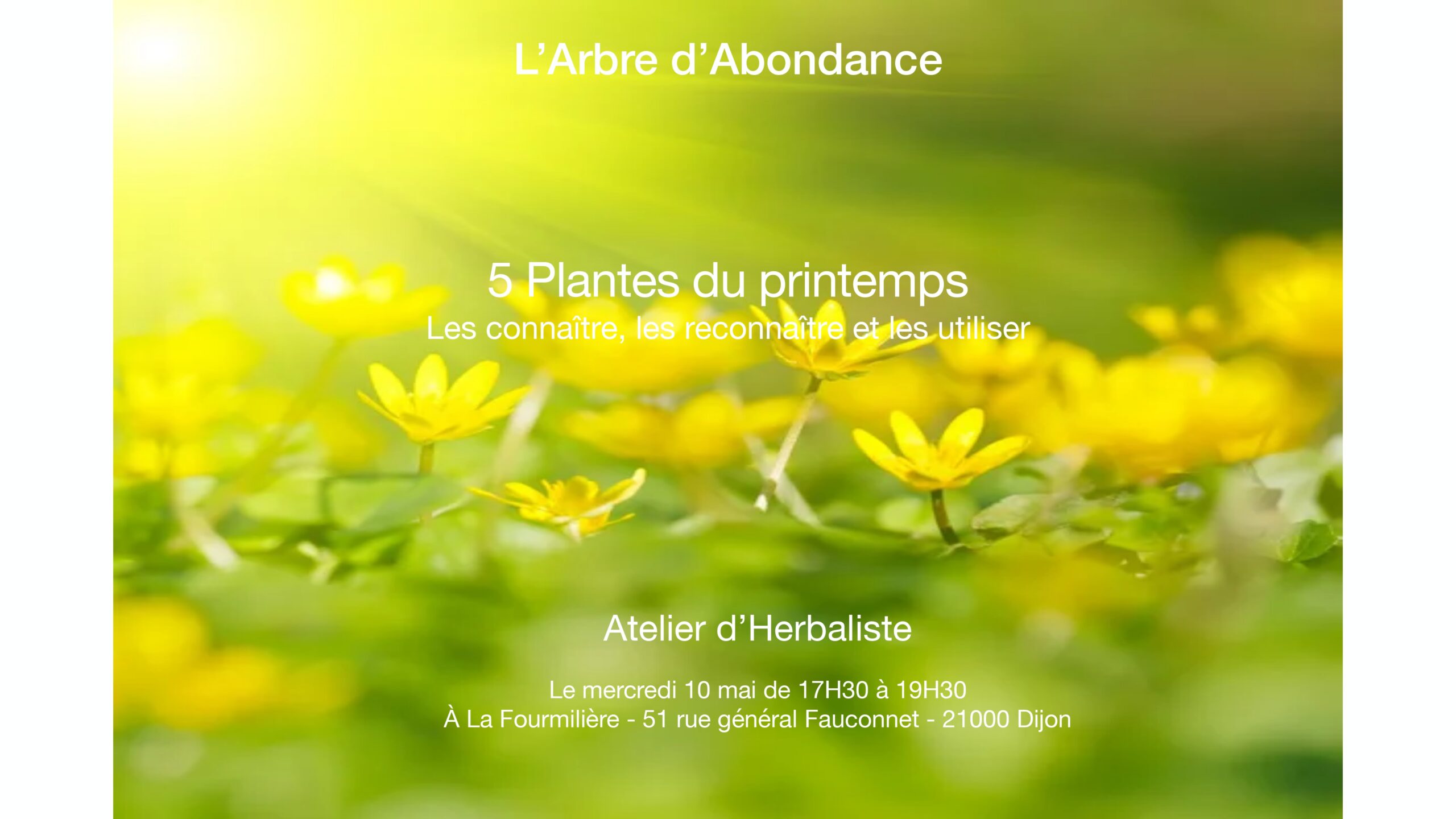 Atelier herbaliste