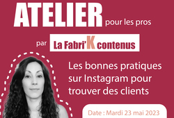 Stratégie réseaux sociaux (atelier pour les pros)